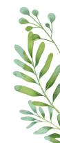 hojas verdes
